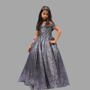 Starry Night Princess: The Glittering Silver Gown